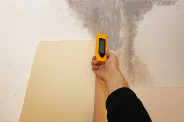 Biohazard Mold Removal in Port Monmouth, NJ