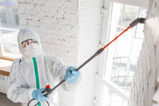 Best Mold Odor Removal Services  in Port Monmouth, NJ