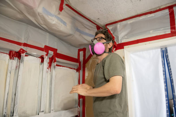 Best Asbestos and Lead Testing During Mold Inspection  in Port Monmouth, NJ