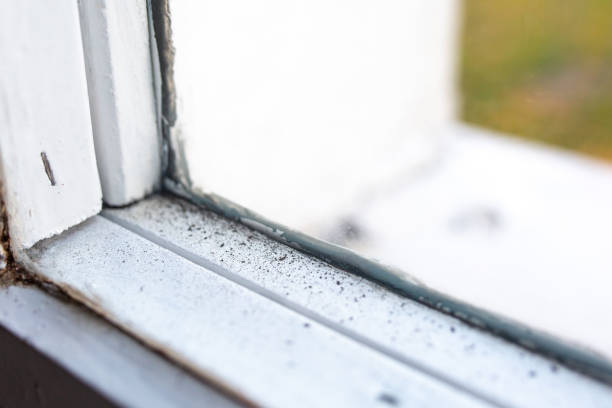Best Mold Removal for HVAC Installations  in Port Monmouth, NJ