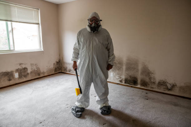 Mold Documentation for Insurance Claims in Port Monmouth, NJ